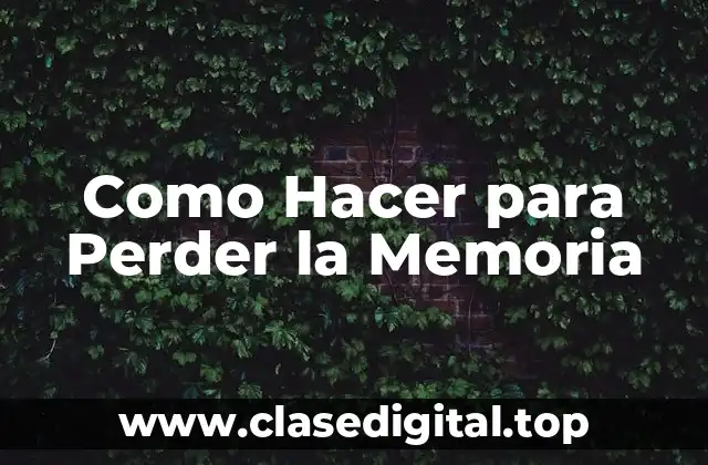 Como Hacer para Perder la Memoria