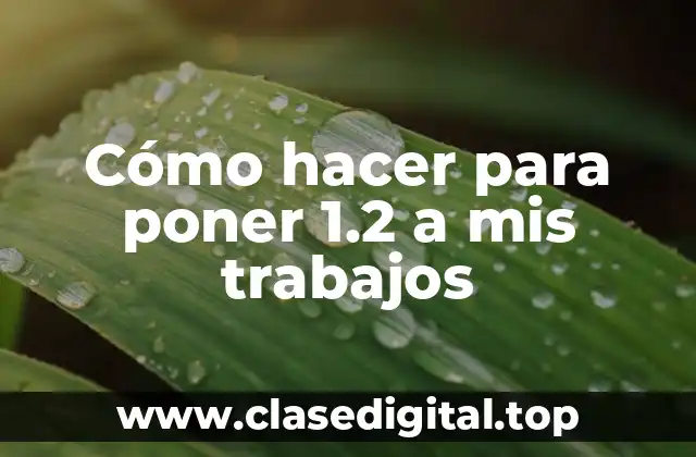Cómo hacer para poner 1.2 a mis trabajos