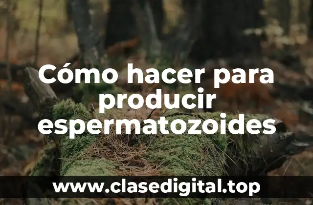 Cómo hacer para producir espermatozoides