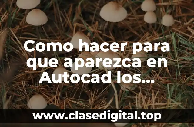 Como hacer para que aparezca en Autocad los comandos