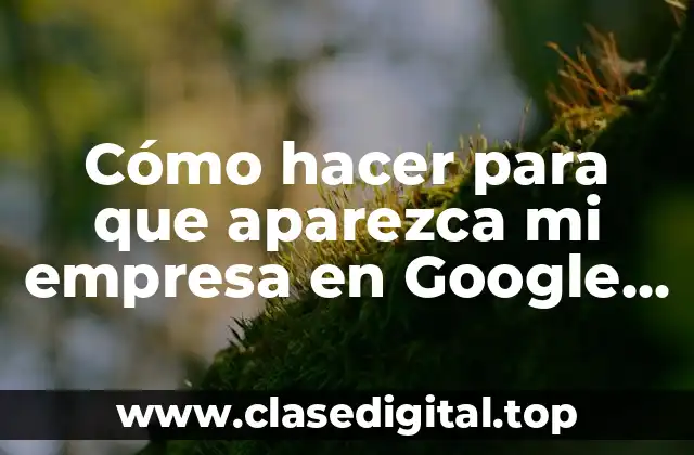 Cómo hacer para que aparezca mi empresa en Google Maps