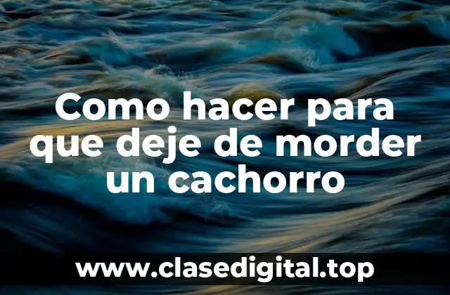 Como hacer para que deje de morder un cachorro