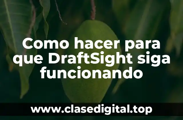 Como hacer para que DraftSight siga funcionando
