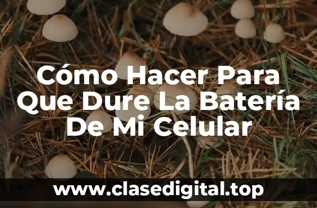 Cómo Hacer Para Que Dure La Batería De Mi Celular