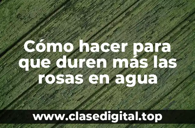Cómo hacer para que duren más las rosas en agua