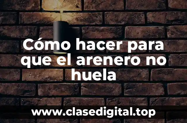 Cómo hacer para que el arenero no huela