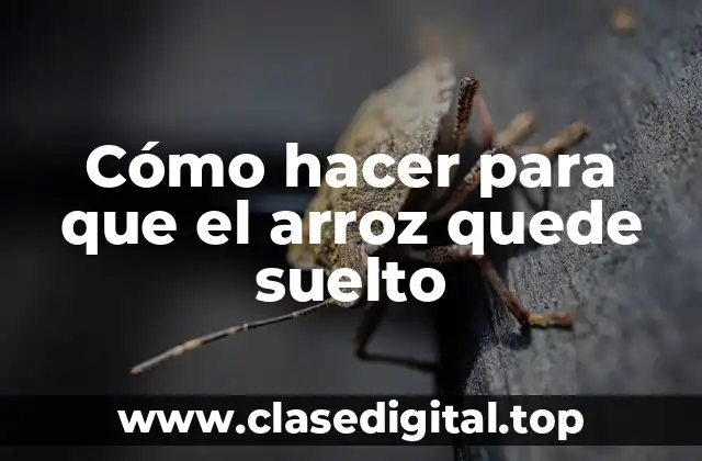 Cómo hacer para que el arroz quede suelto