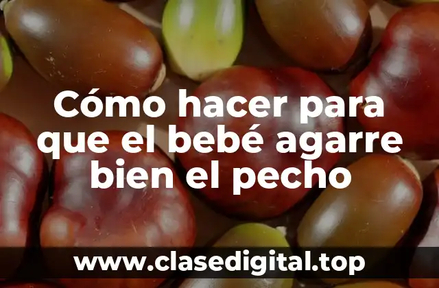 Cómo hacer para que el bebé agarre bien el pecho