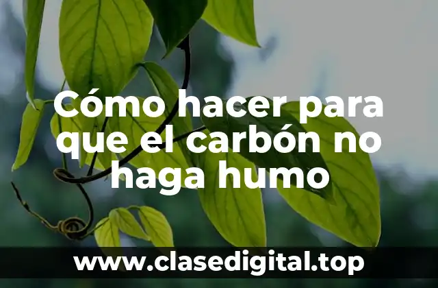 Cómo hacer para que el carbón no haga humo