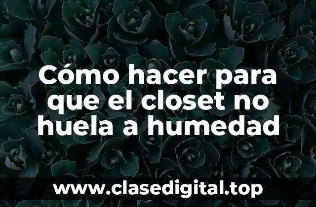 Cómo hacer para que el closet no huela a humedad