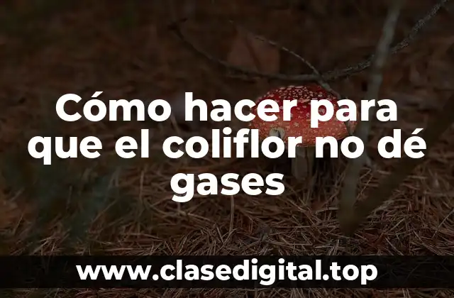 Cómo hacer para que el coliflor no dé gases