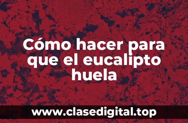 Cómo hacer para que el eucalipto huela
