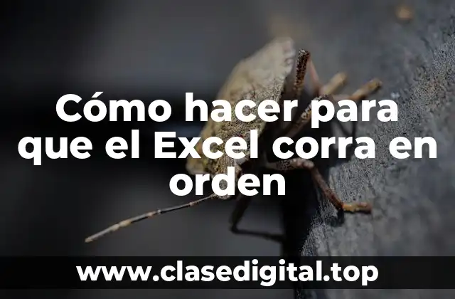 Cómo hacer para que el Excel corra en orden