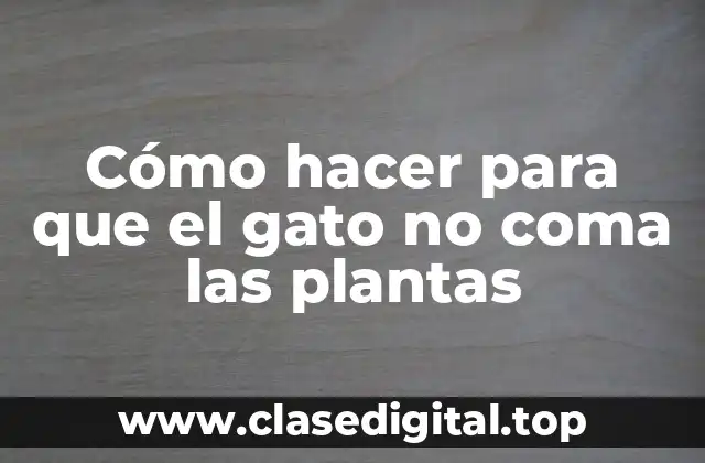 Cómo hacer para que el gato no coma las plantas