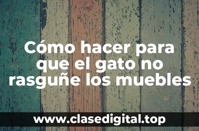 Cómo hacer para que el gato no rasguñe los muebles