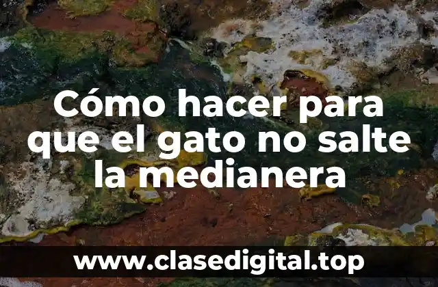 ¿Qué es la medianera y por qué los gatos la saltan?