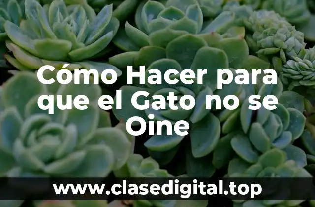 Cómo Hacer para que el Gato no se Oine