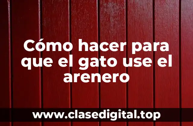 Cómo hacer para que el gato use el arenero