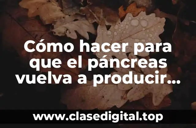 Cómo hacer para que el páncreas vuelva a producir insulina