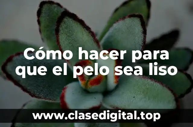 Cómo hacer para que el pelo sea liso