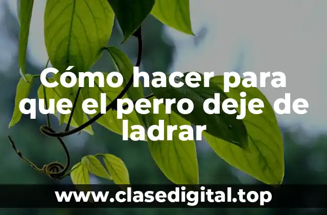 Cómo hacer para que el perro deje de ladrar