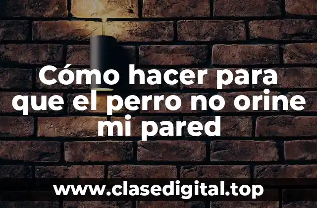 Entendiendo por qué tu perro orina en la pared