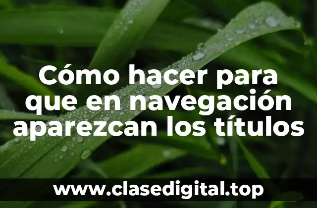 Cómo hacer para que en navegación aparezcan los títulos
