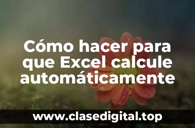 Cómo hacer para que Excel calcule automáticamente
