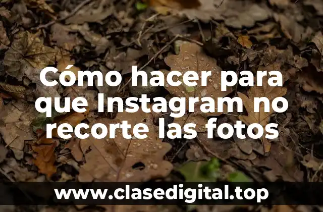 Cómo hacer para que Instagram no recorte las fotos
