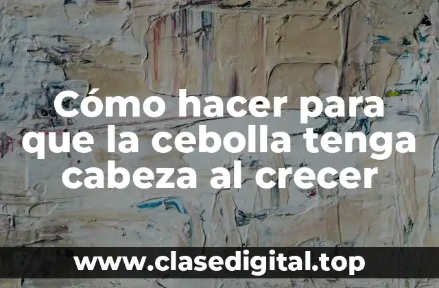 Cómo hacer para que la cebolla tenga cabeza al crecer