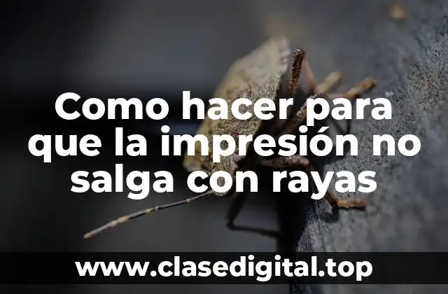 Como hacer para que la impresión no salga con rayas