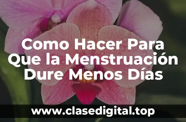 ¿Qué es la Menstruación y Cómo Afecta mi Cuerpo?