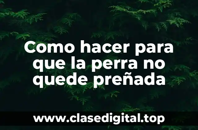 Como hacer para que la perra no quede preñada