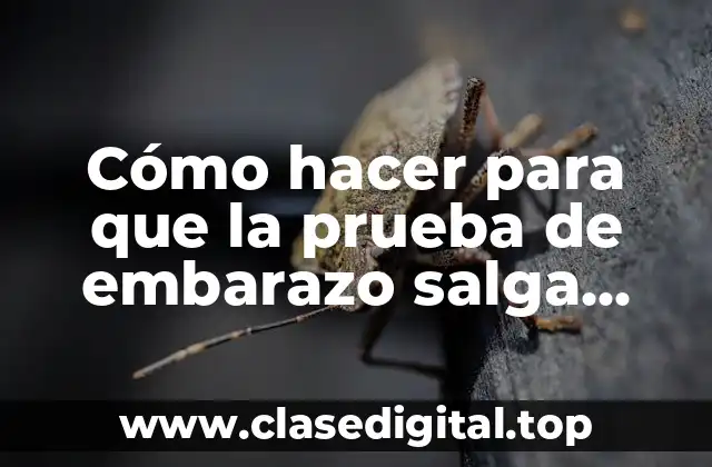 Cómo hacer para que la prueba de embarazo salga positiva