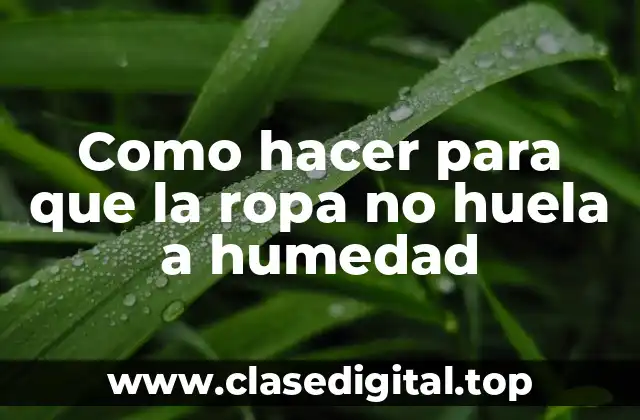 Como hacer para que la ropa no huela a humedad