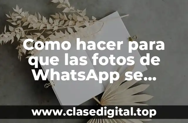 Como hacer para que las fotos de WhatsApp se guarden