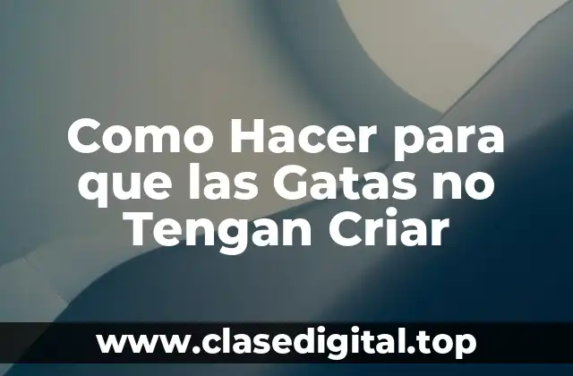 Como Hacer para que las Gatas no Tengan Criar