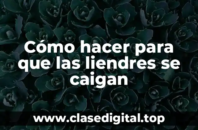 Cómo hacer para que las liendres se caigan