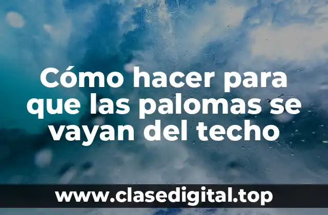 Cómo hacer para que las palomas se vayan del techo