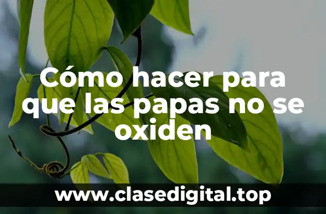 Cómo hacer para que las papas no se oxiden