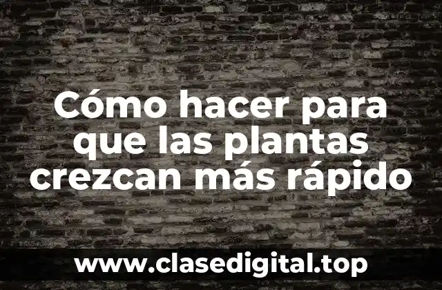 Cómo hacer para que las plantas crezcan más rápido