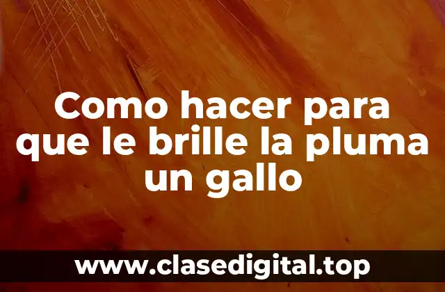 Como hacer para que le brille la pluma un gallo