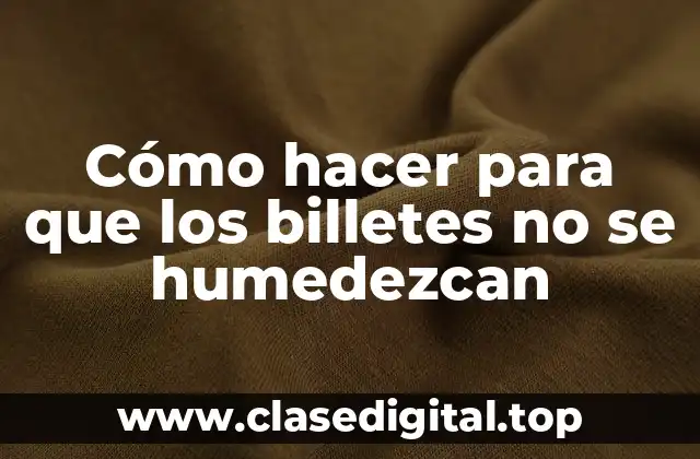Cómo hacer para que los billetes no se humedezcan