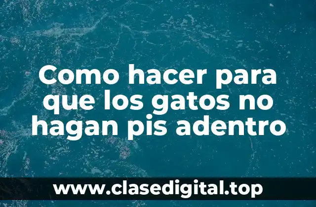 Como hacer para que los gatos no hagan pis adentro