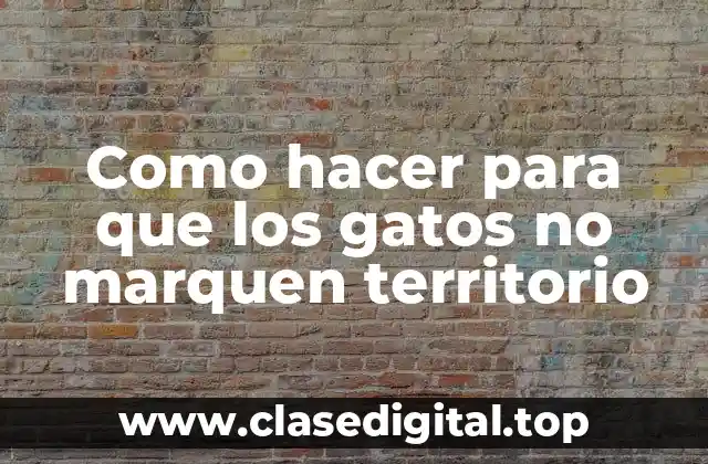 Como hacer para que los gatos no marquen territorio