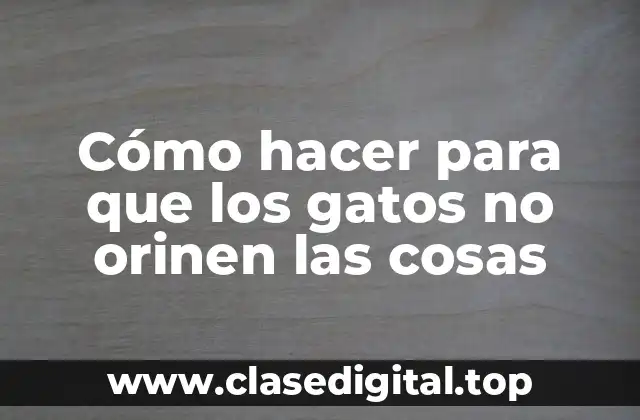 Cómo hacer para que los gatos no orinen las cosas