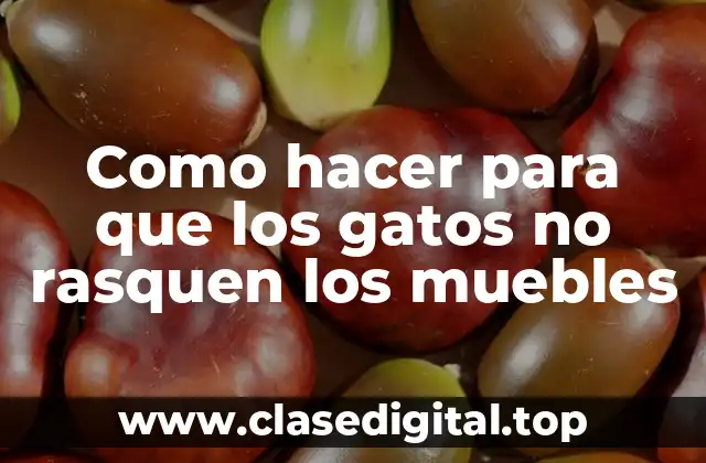Como hacer para que los gatos no rasquen los muebles