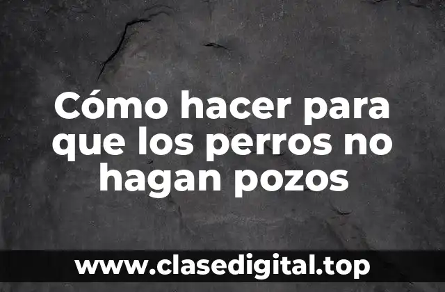 Cómo hacer para que los perros no hagan pozos