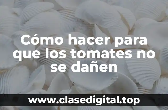 Cómo hacer para que los tomates no se dañen