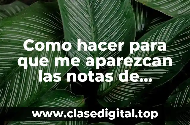 Como hacer para que me aparezcan las notas de Instagram